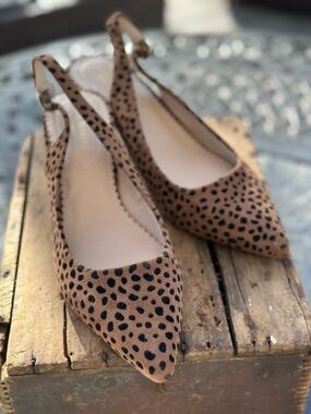 Isaac Mizrahi Women’s Pointed Slingback Kitten Heels in Faux Leopard Print